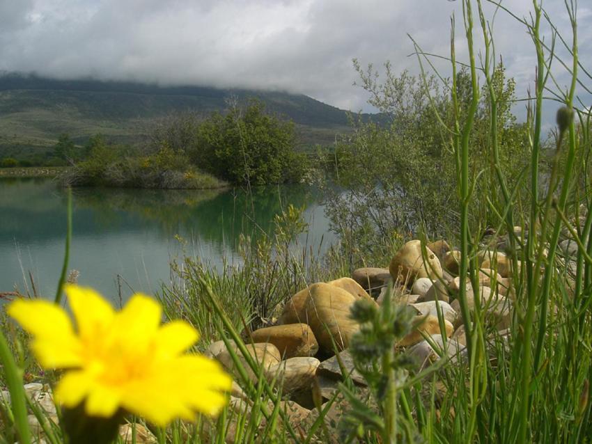 Al Viento, Alojamiento&Turismo Rural Prádena del Rincón Exterior foto