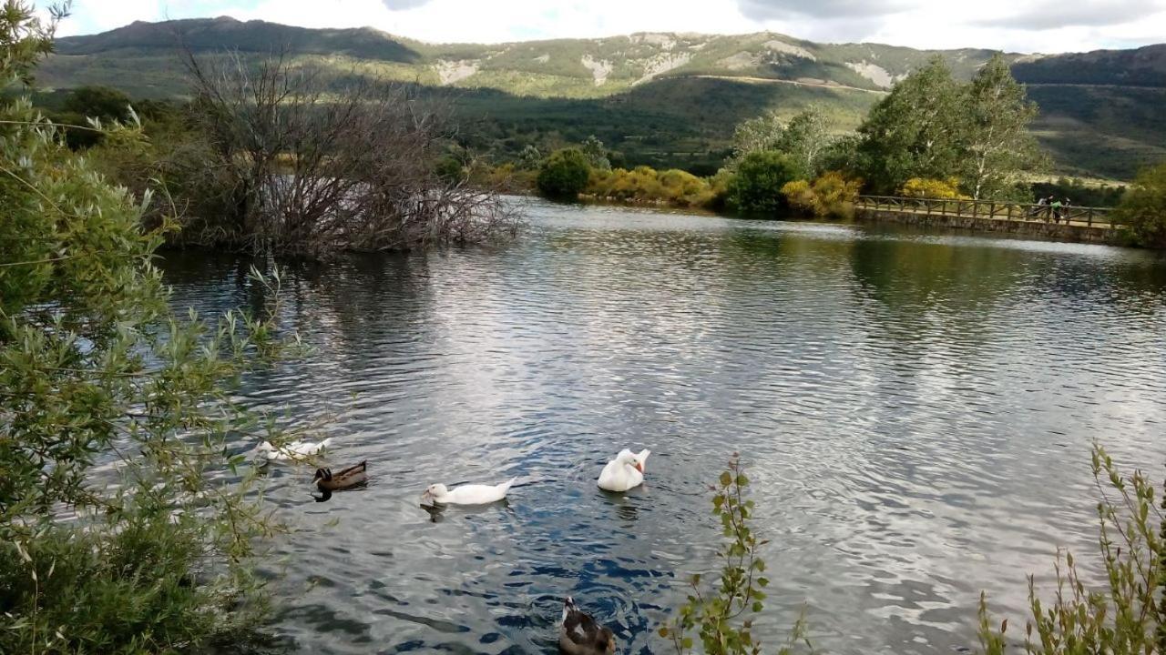 Al Viento, Alojamiento&Turismo Rural Prádena del Rincón Exterior foto