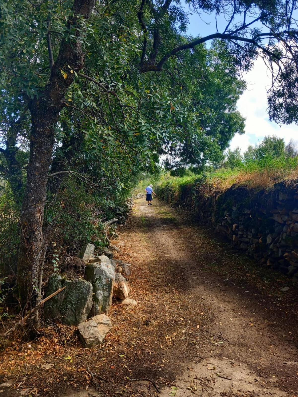 Al Viento, Alojamiento&Turismo Rural Prádena del Rincón Exterior foto