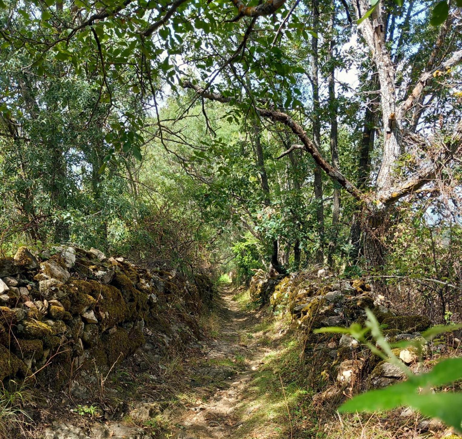 Al Viento, Alojamiento&Turismo Rural Prádena del Rincón Exterior foto