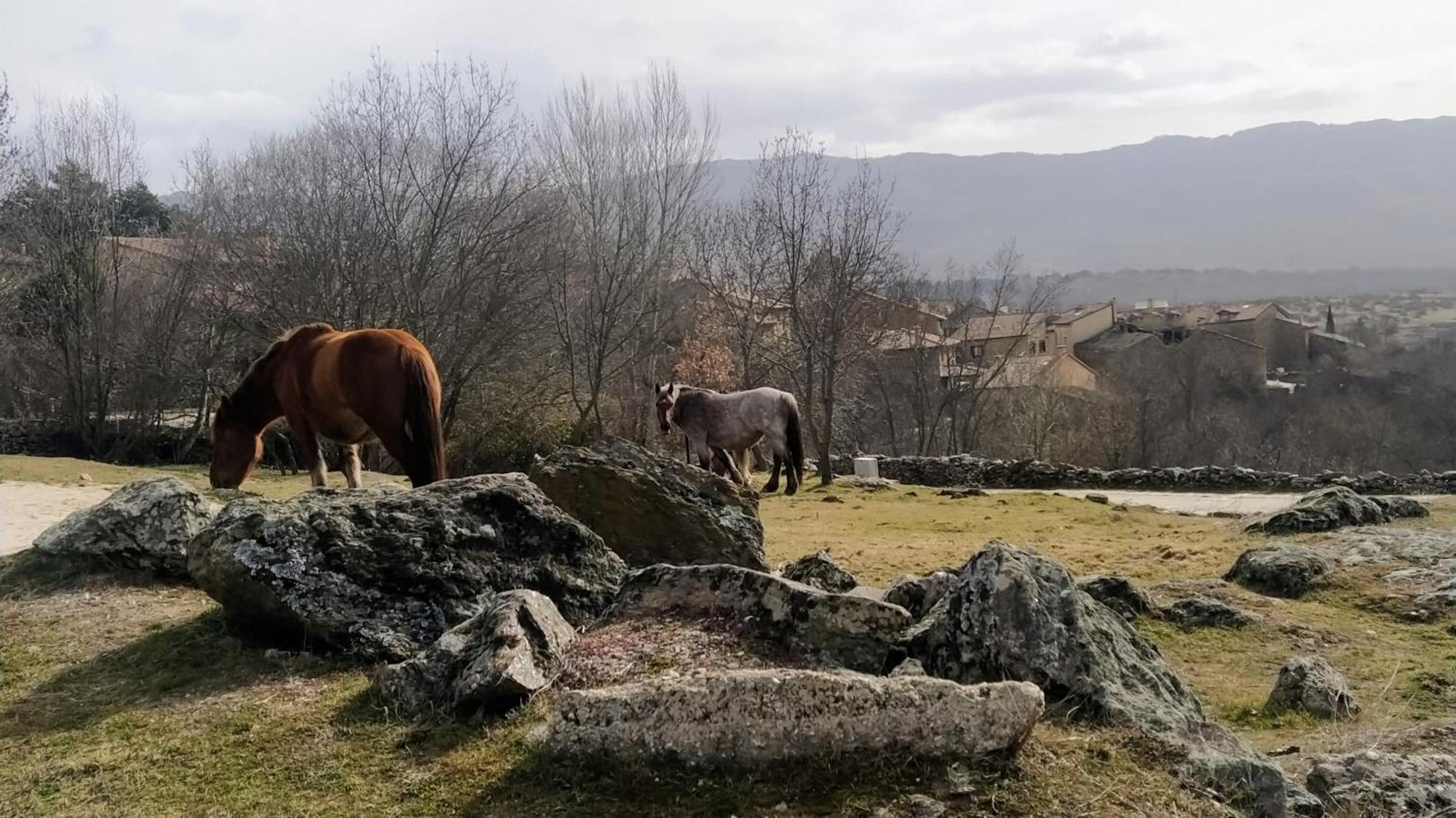 Al Viento, Alojamiento&Turismo Rural Prádena del Rincón Exterior foto