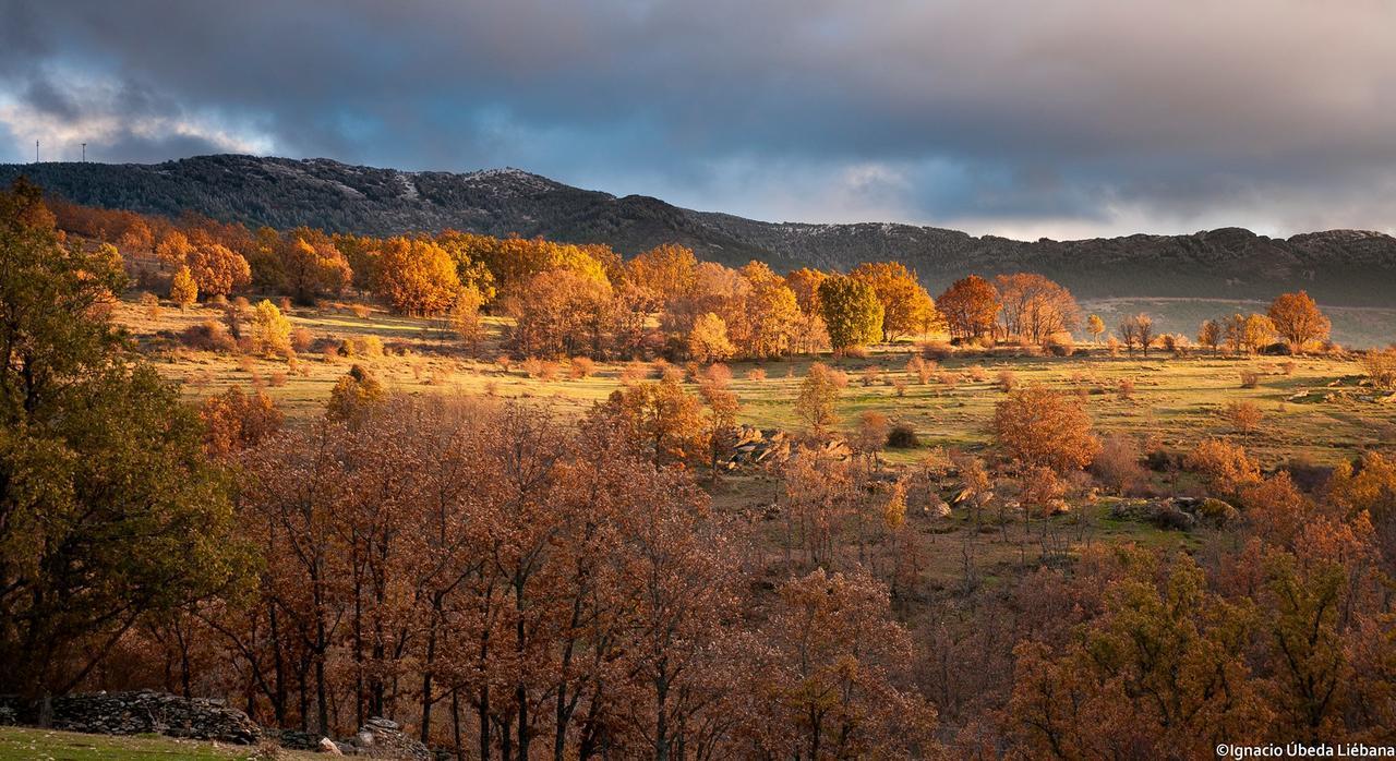 Al Viento, Alojamiento&Turismo Rural Prádena del Rincón Exterior foto